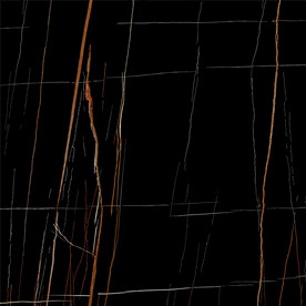 黑金花 金龙黑高清瓷砖设计