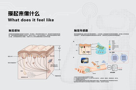 触觉感知触觉传感器科技馆图文版