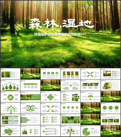 湿地环境保护生态森林业PPT