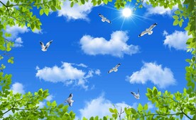 蓝天白云绿叶鸽子