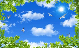 蓝天白云绿叶鸽子