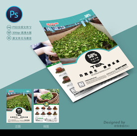 茶叶宣传单