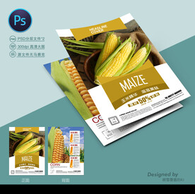 玉米种子宣传单