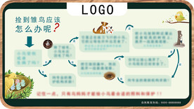 捡到鸟类幼崽怎么办