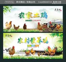 农家土鸡 农村散养鸡