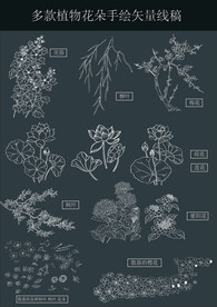 多款手绘植物花朵的矢量线稿