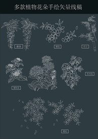 多款植物花朵手绘矢量线稿