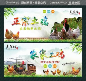 正宗土鸡 农家土鸡