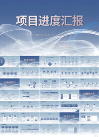 大气项目汇报工作总结汇报PPT
