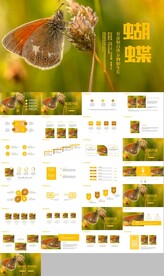 绿色环保春天大自然昆虫生物蝴蝶