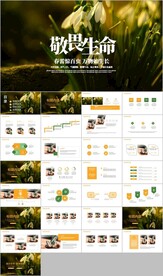 唯美绿色植物发芽植物生长ppt