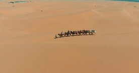 驼队在沙漠行走