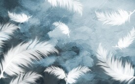 轻奢装饰画 羽毛