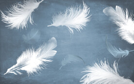 轻奢装饰画 羽毛