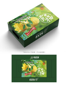 黄金贡柚包装  