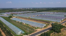 航拍农村大棚农田