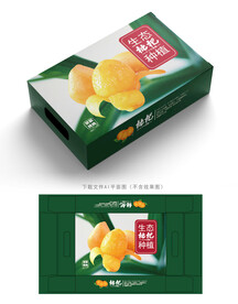 枇杷包装