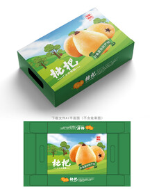 枇杷包装