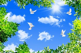 蓝天白云绿叶鸽子