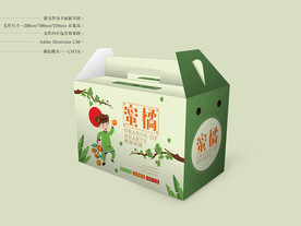橘子包装 平面图