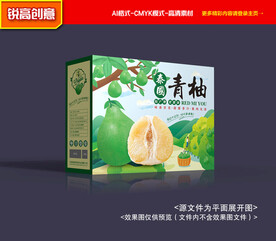 柚子包装 青柚礼盒