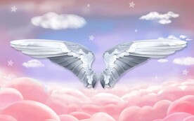 网红翅膀背景墙