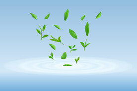 水面波纹绿茶叶子茶叶嫩叶嫩芽