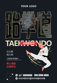 跆拳道海报