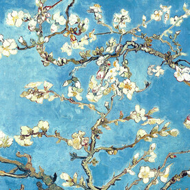 颜色油墨画白色桃花艺术画