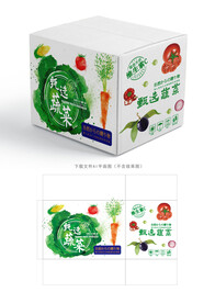 蔬菜包装 