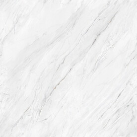 爵士白 鱼肚白高清大理石瓷砖