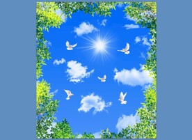 蓝天白云绿叶鸽子