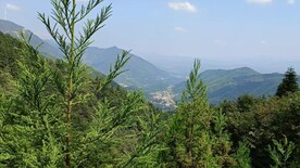 绿色的大山顶上俯视