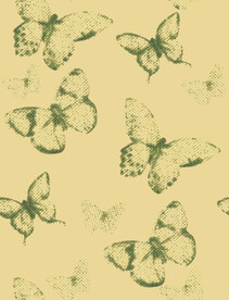 大牌 方巾 数码印花