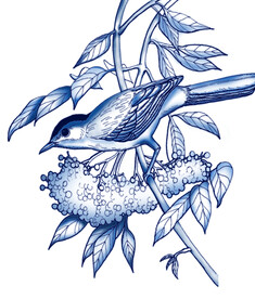 花鸟国画ps分层文件