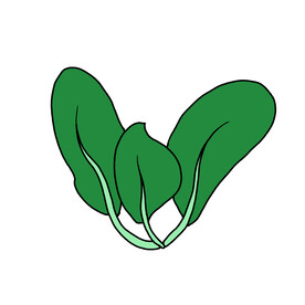 白菜叶