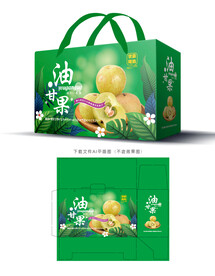 油甘果包装