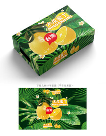 木瓜蜜丁包装 
