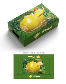 木瓜蜜丁包装