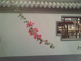 一枝红杏 花 蔷 窗