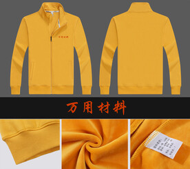 立领卫衣效果图片