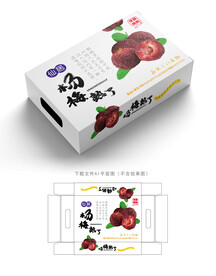 杨梅包装 