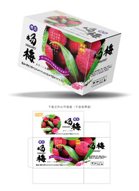杨梅包装 