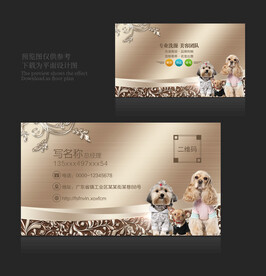 宠物店名片