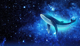分层星空海豚背景墙