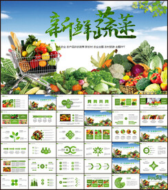 水果蔬菜种植PPT