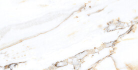 爵士白 鱼肚白高清大理石瓷砖