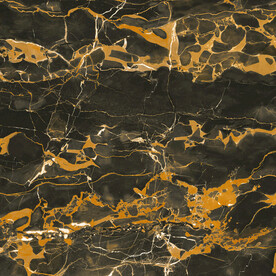 黑金花 金龙黑高清瓷砖设计