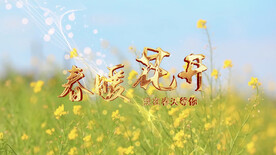 春天清新油菜花简约AE片头片尾