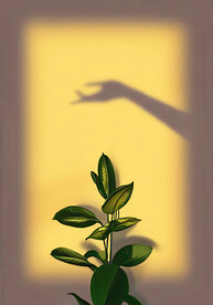 装饰画 手 植物